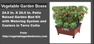 ad-vegetablegardenboxes